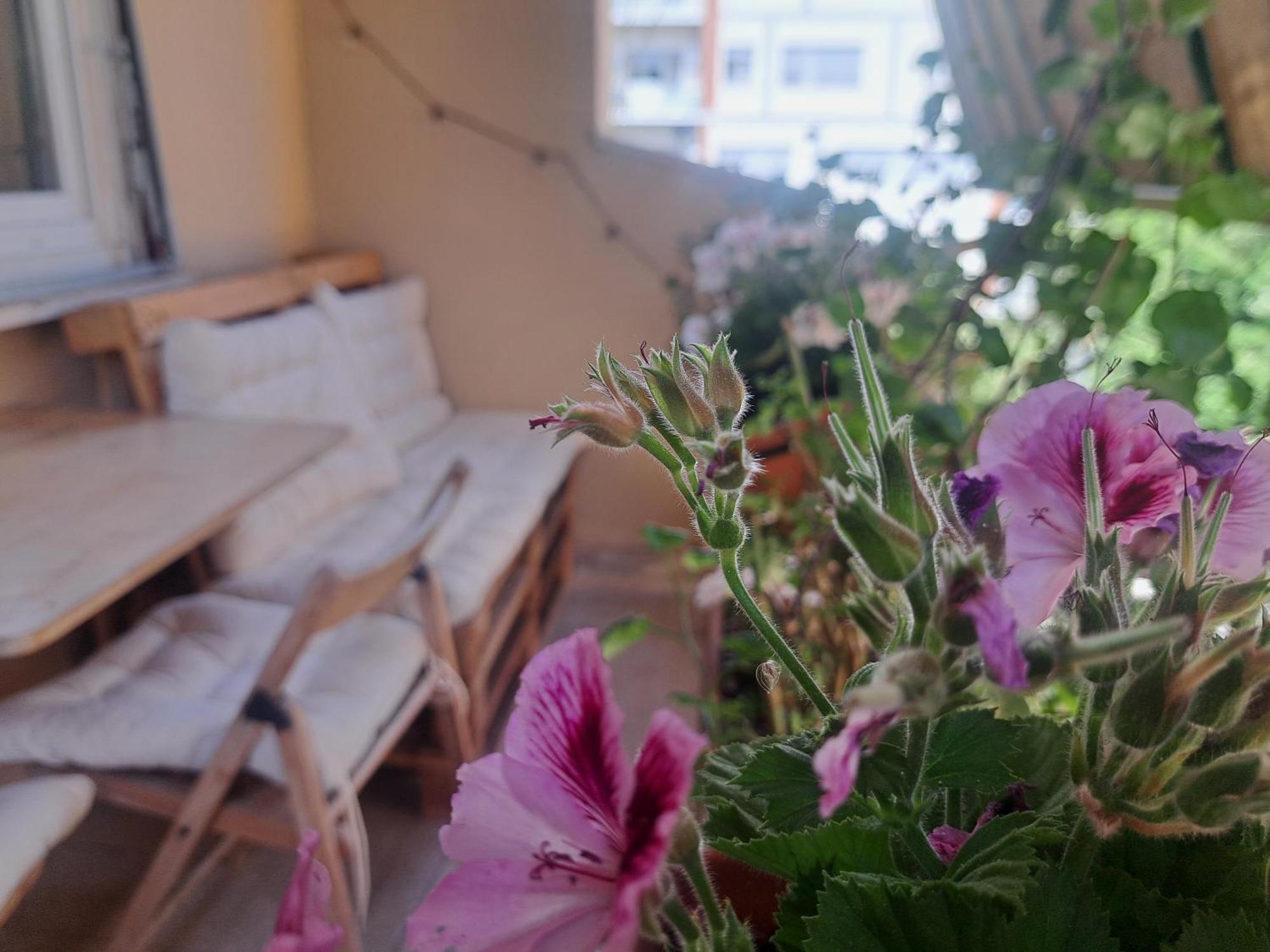 ローマ エコ B ＆ B マレラ Bed & Breakfast エクステリア 写真